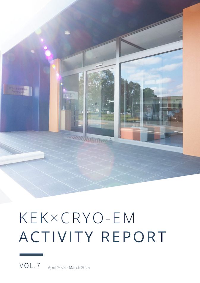 Activity Report 6