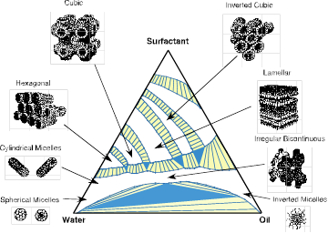 水と油と界面活性剤が作る様々なナノ構造