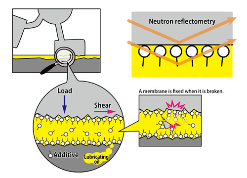 中性子反射率計を用いた摩擦・潤滑界面の研究