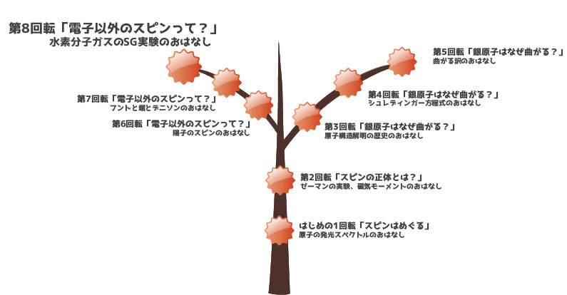 「私にスピンをわからせて！」の樹形図