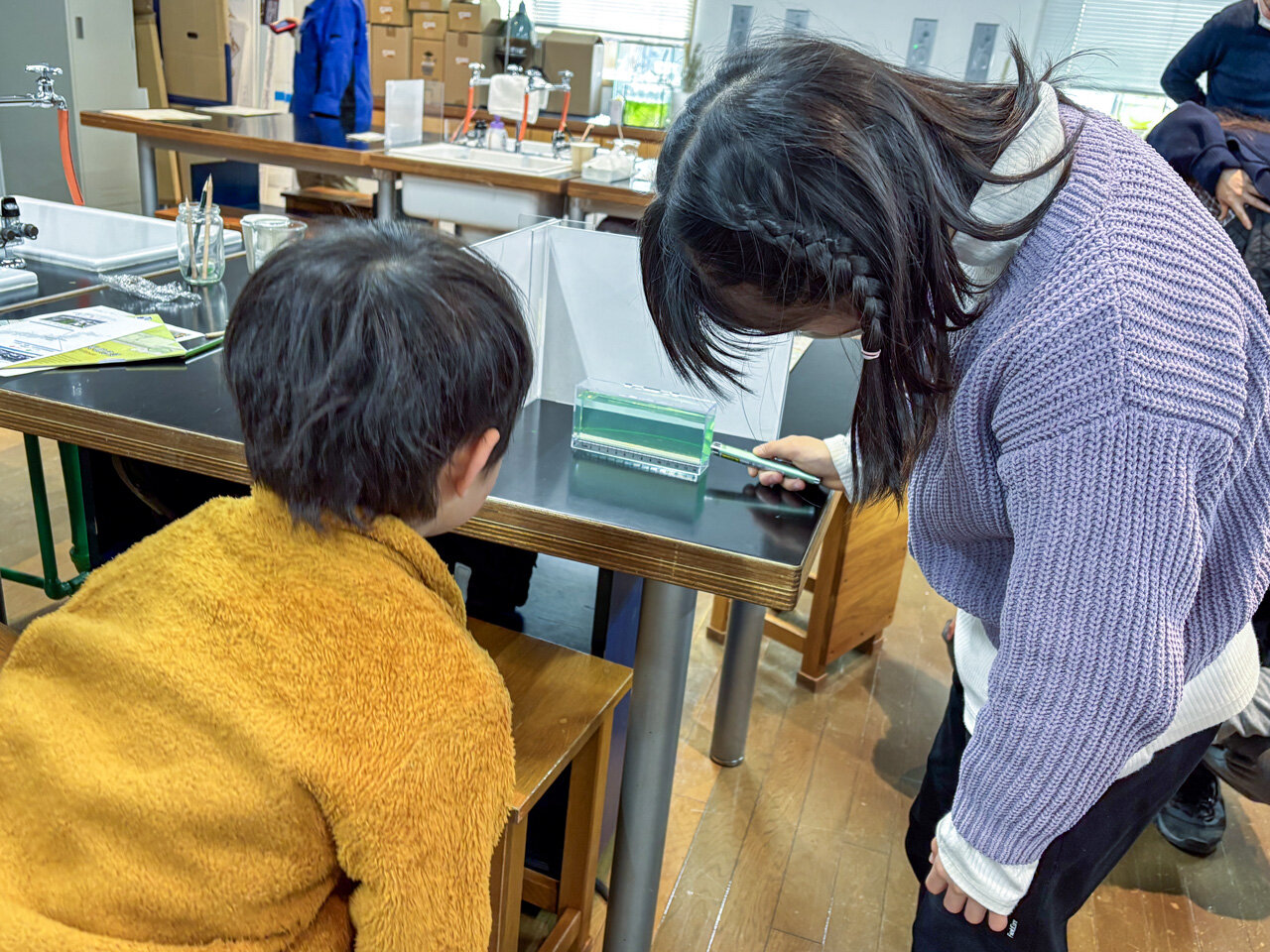 レーザーポインターを当てた水槽を覗き込む参加者