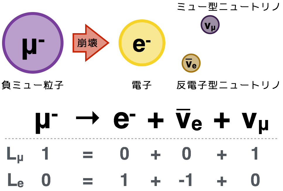 図2 : 通常の負ミューオンの崩壊と、そのときのレプトン世代数の変化