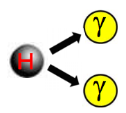 ヒッグス粒子が光子二つに崩壊するモード