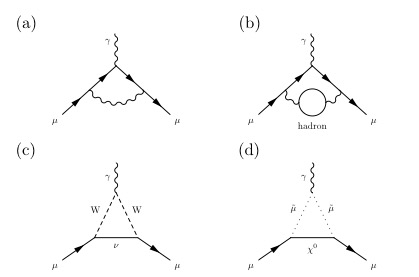 異常磁気能率(g-2)に寄与する反応の例　: (a) QED(Schwinger 項) (b) ハドロンループを含む項 (c) 弱い相互作用を伴う項 (d) 超対称粒子など未知粒子の寄与。