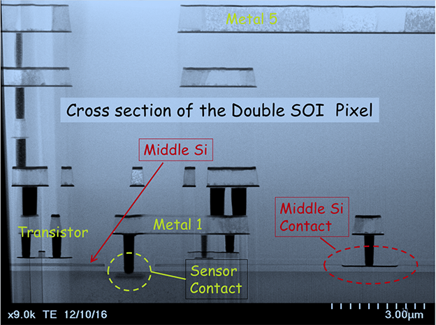 Double SOI技術を使ったSOI検出器の断面写真
