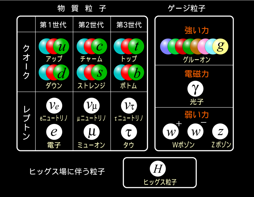 図6. 標準理論に登場する素粒子の分類表。ミューオンは第2世代のレプトンです。（©️KEK）