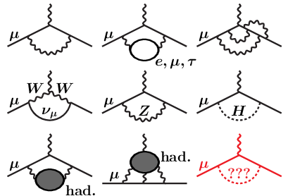 ミューオンg-2に現れる量子効果の例。ミューオン （μ、直線）が光子（波線）と電子（e）、タウ粒子（τ）、ニュートリノ（ν）、Zボソン、Wボソンといった他の素粒子やハドロンと相互作用して、最終的にミューオンに戻る反応の様子を表しています。上段：電磁相互作用(QED)による項、中段：電弱相互作用による項、下段（左・中）；強い相互作用(QCD)による項、下段（右）新物理による項（未確定）。