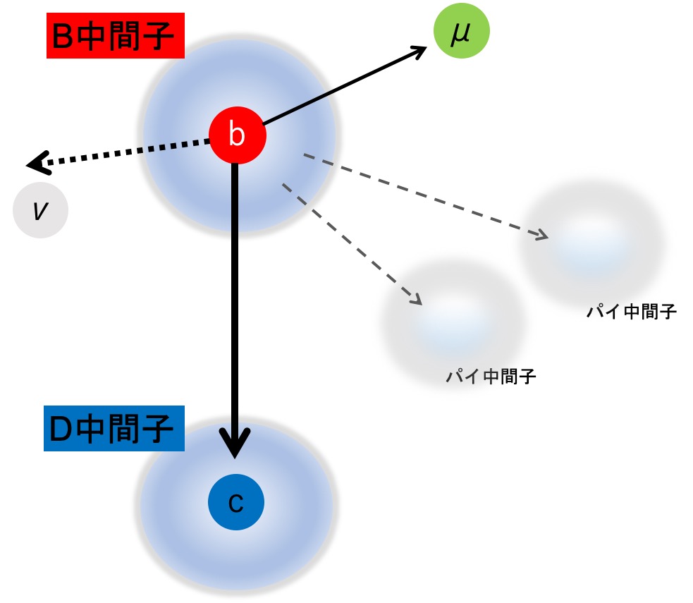 B中間子崩壊の理論計算に新手法 ボトムクォークのレプトンを含む崩壊反応の理論計算が可能に 素核研