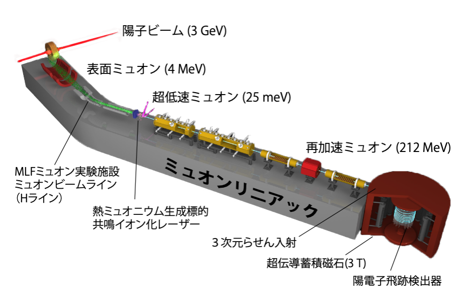 図3. ミューオンg-2/EDM実験装置の概要図。J-PARCの3GeVシンクロトロンで加速された陽子ビームがグラファイト標的に衝突すると、パイ中間子などが生成されます。このパイ中間子がやがて崩壊してミューオンになります。図の中央部で一度ミューオンを止めた（冷却した）後、ミューオン加速器でミューオンを加速させ、図の右端にある超伝導蓄積磁石で蓄積し、崩壊で生じる陽電子（電子の反粒子）を陽電子飛跡検出器で測定します。