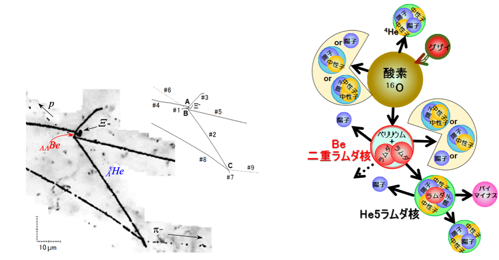 図1．美濃イベントにおける写真乾板中の粒子の飛跡 … グザイマイナス(Ξ<sup>-</sup>)粒子<sup>*1</sup>が酸素16原子核に吸収されBeの二重ラムダ核が生成されました。ヘリウム５（He5）ラムダ核への崩壊の様子も示してあります。