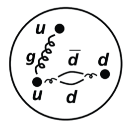 図1：陽子のパートン構造。　2個のアップクォーク (u) と1個のダウンクォーク (d) からグルーオン (g) の放射やクォーク・反クォークの対生成が起こり、クォーク・反クォーク・グルーオンの複合体になっている。